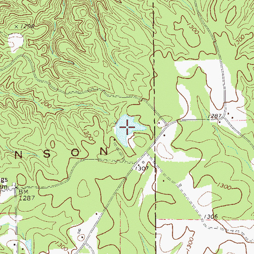 Topographic Map of King Lake, GA
