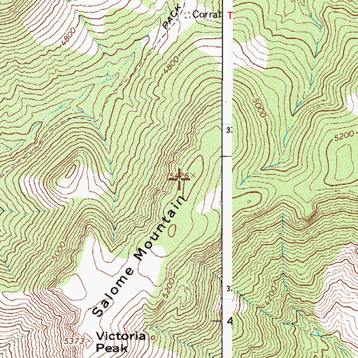 Topographic Map of Salome Mountain, AZ