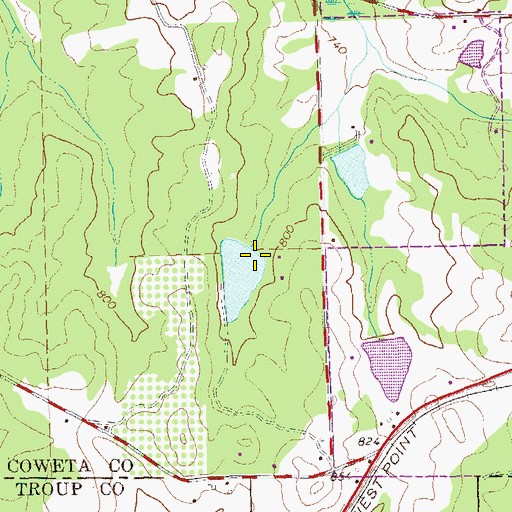 Topographic Map of Brewer Lake Dam, GA
