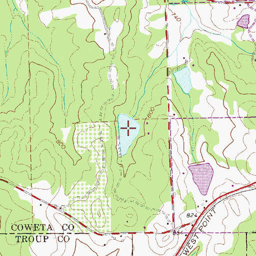 Topographic Map of Brewer Lake, GA