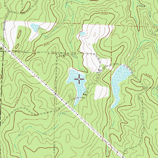Topographic Map of Snowden Lake West, GA