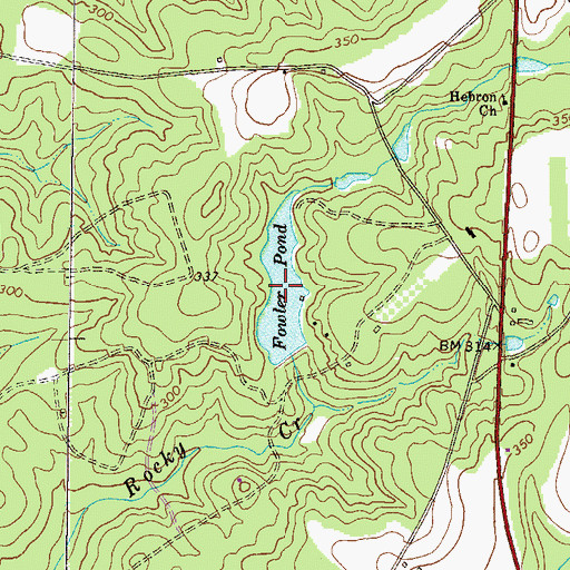 Topographic Map of Fowler Pond, GA