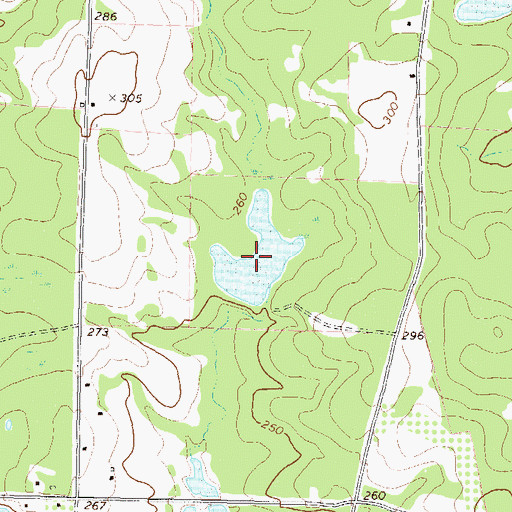 Topographic Map of Fulmer Lake, GA
