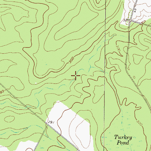 Topographic Map of Turkey Pond, GA