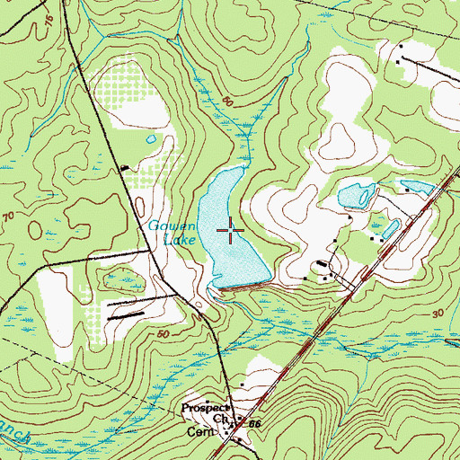 Topographic Map of Gowen Lake, GA