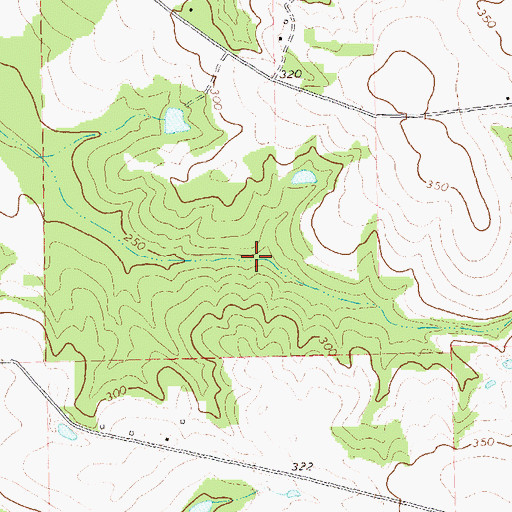 Topographic Map of Willingham Lake, GA