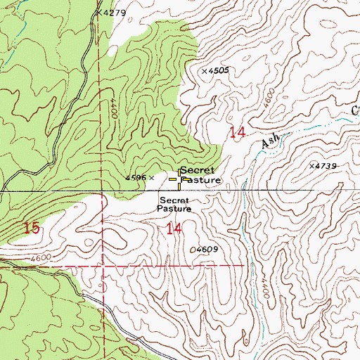 Topographic Map of Secret Pasture, AZ