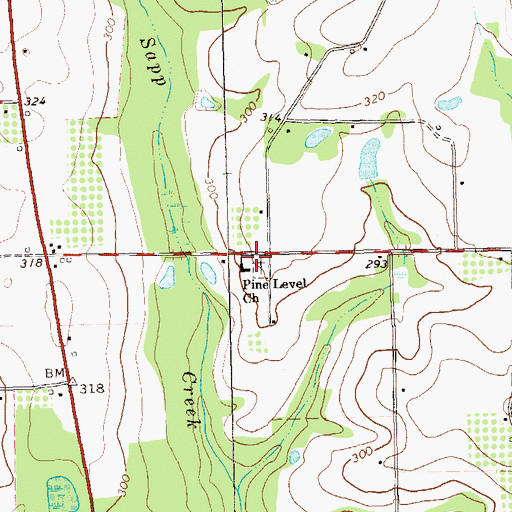 Topographic Map of Pine Level Cemetery, GA