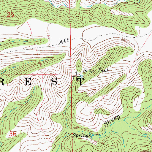 Topographic Map of Seep Tank, AZ