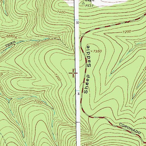 Topographic Map of Sheep Saddle, AZ