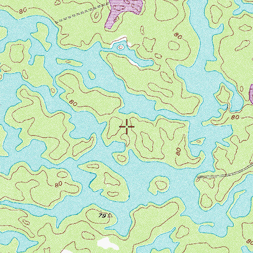 Topographic Map of Perkins Island, GA