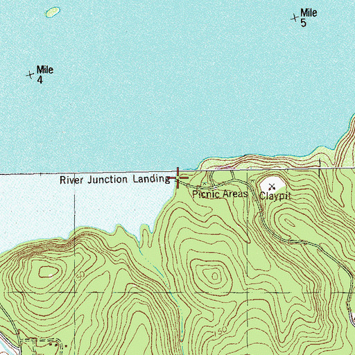 Topographic Map of River Junction Landing, GA
