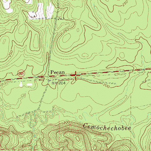 Topographic Map of Pecan Cemetery, GA