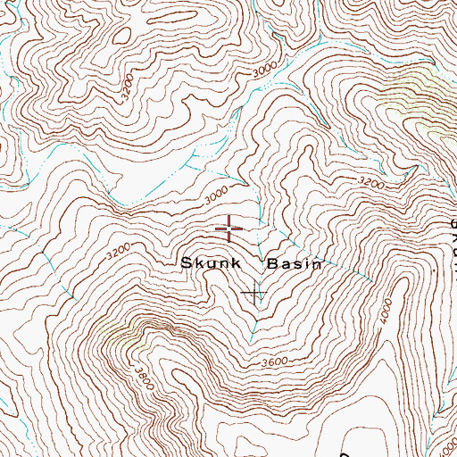Topographic Map of Skunk Basin, AZ
