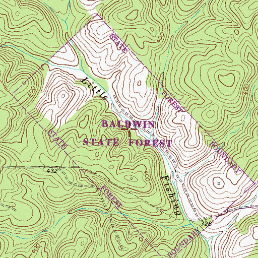 Topographic Map of Baldwin State Forest, GA