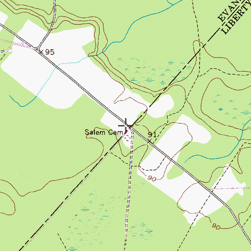 Topographic Map of Salem School (historical), GA