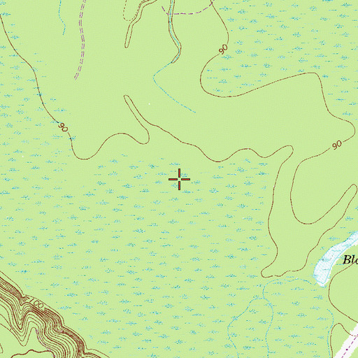 Topographic Map of D'Antignac Swamp, GA