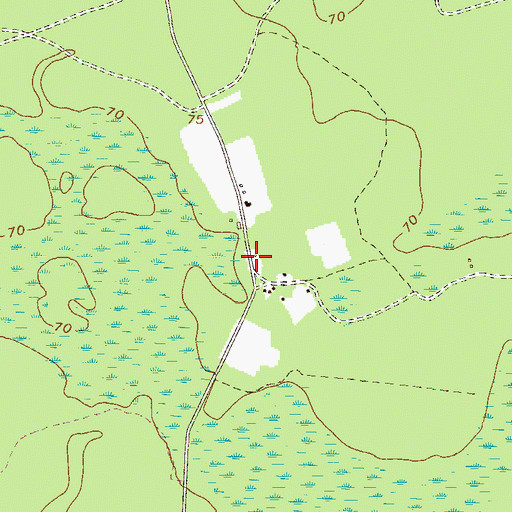 Topographic Map of Persimmon Grove School (historical), GA