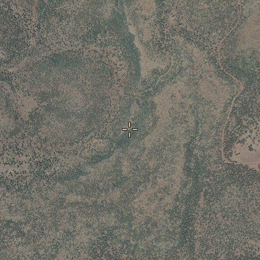 Aerial/Satellite Image of Stewart Spring, AZ
