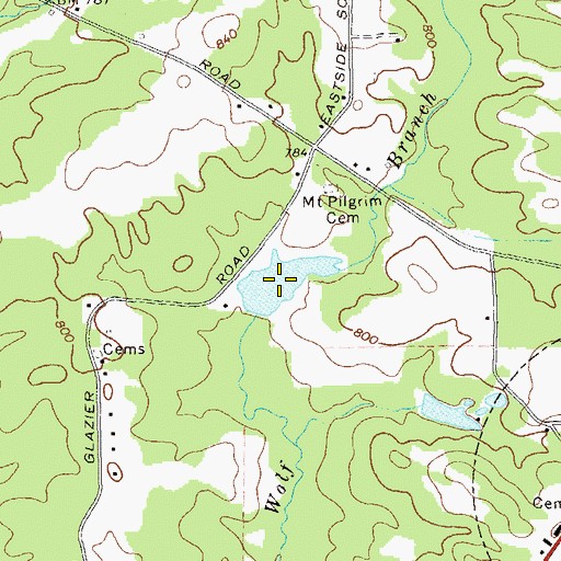 Topographic Map of Williams Lake, GA