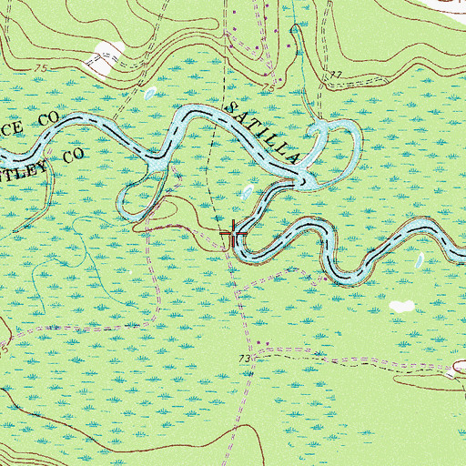 Topographic Map of Higans Bluff, GA