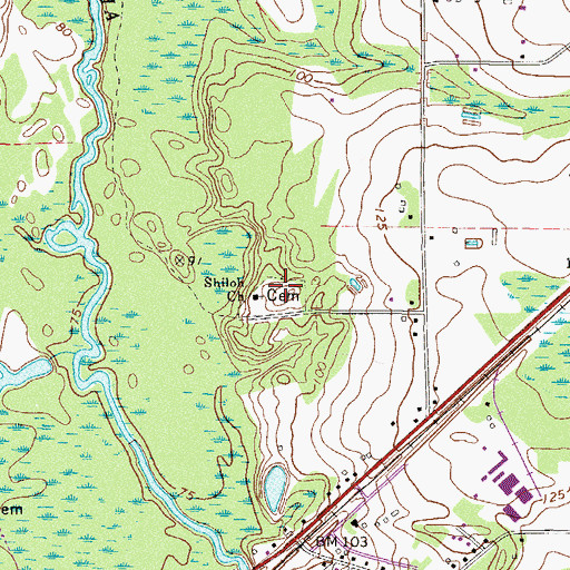 Topographic Map of Shiloh Cemetery, GA