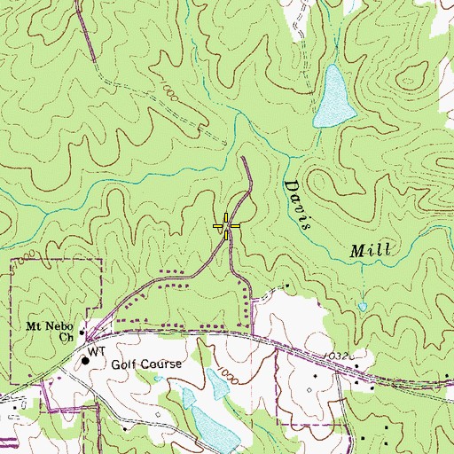 Topographic Map of Swan Lake, GA