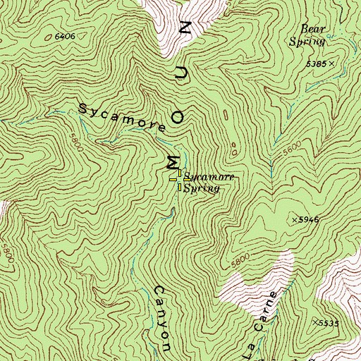 Topographic Map of Sycamore Spring, AZ