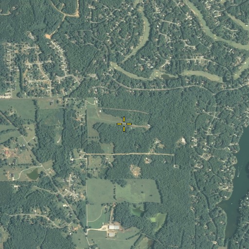 Aerial/Satellite Image of Diamond R Ranch Airport, GA