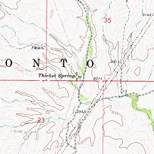 Topographic Map of Thicket Spring, AZ