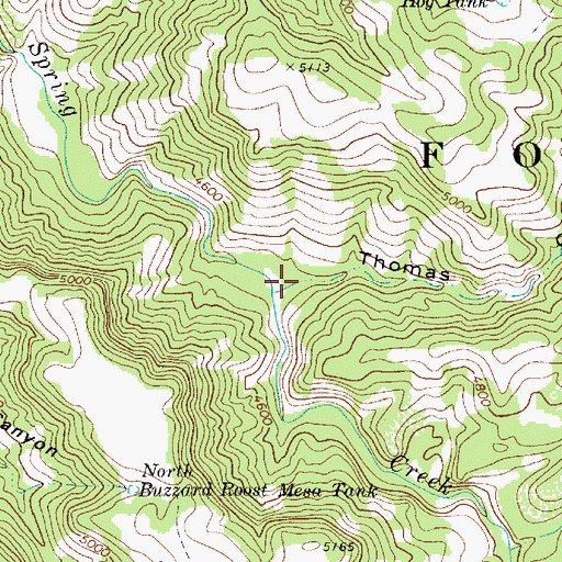Topographic Map of Thomas Canyon, AZ