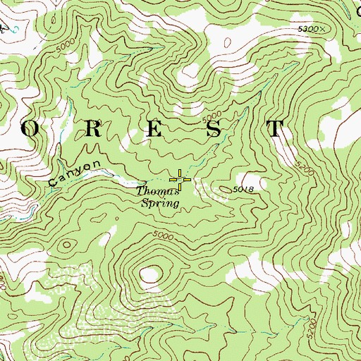 Topographic Map of Thomas Spring, AZ