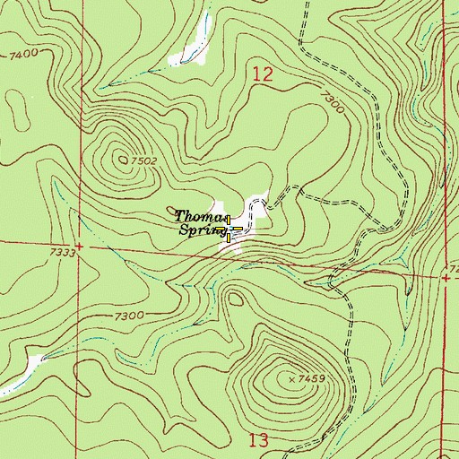 Topographic Map of Thomas Spring, AZ