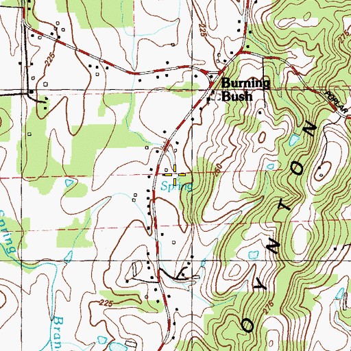 Topographic Map of Wild Cat Spring, GA