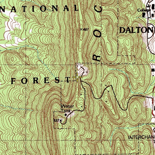 Topographic Map of Rays Gap, GA