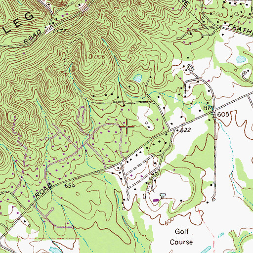 Topographic Map of River Ridge, GA
