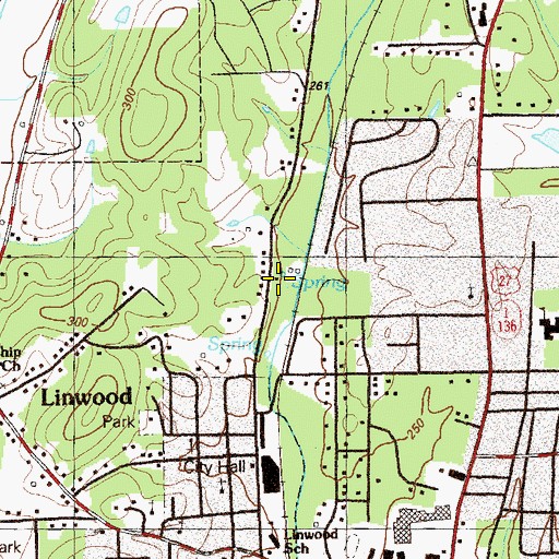 Topographic Map of Big Spring, GA