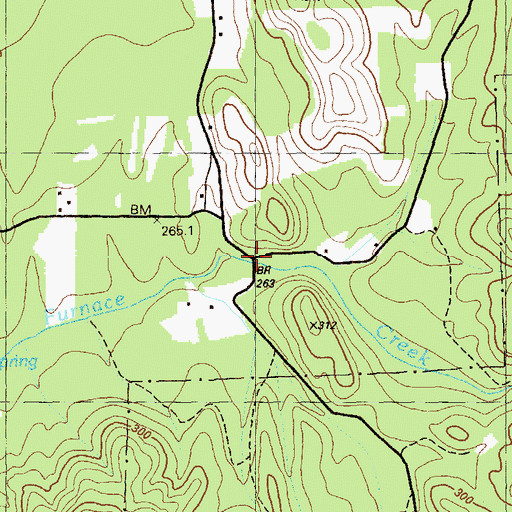 Topographic Map of Furnace (historical), GA