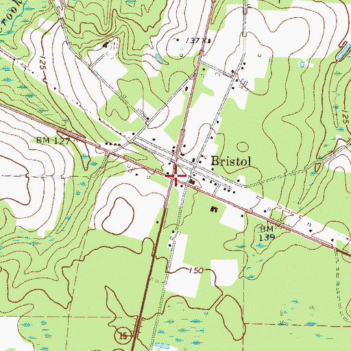 Topographic Map of Bristol, GA