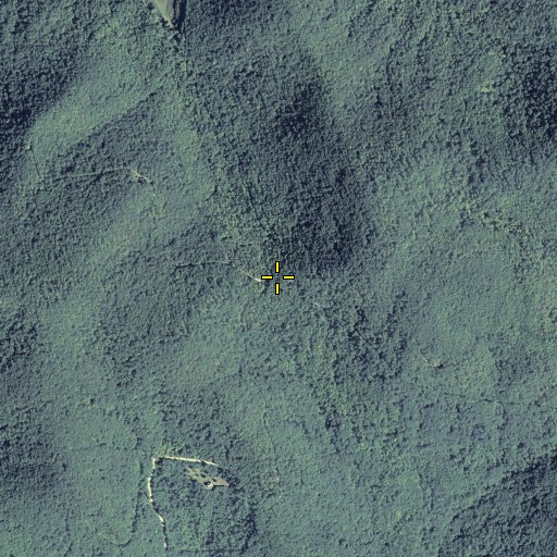 Aerial/Satellite Image of Cooper Gap, GA