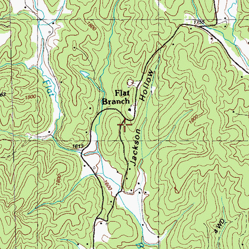 Topographic Map of Flat Branch, GA