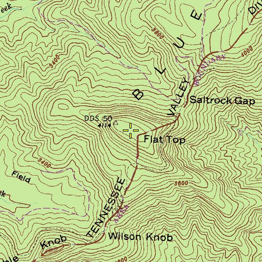Topographic Map of Flat Top, GA