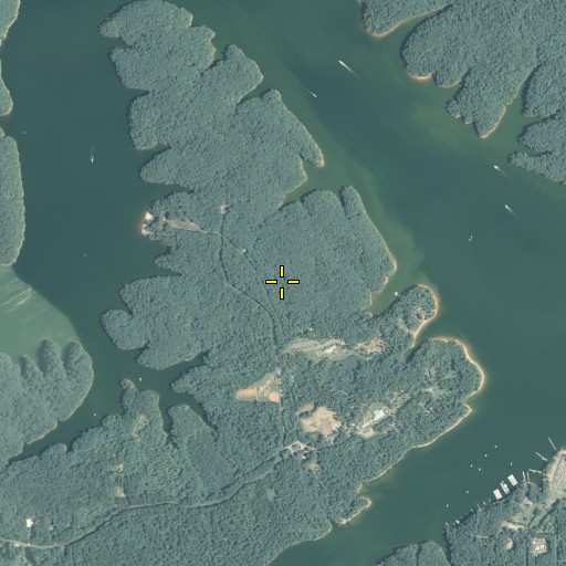 Aerial/Satellite Image of George Washington Carver State Park, GA