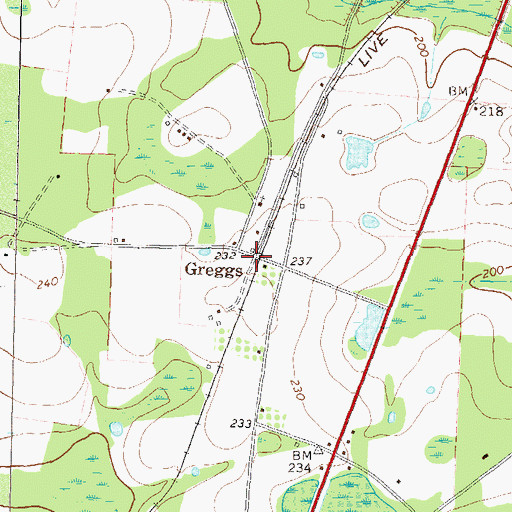 Topographic Map of Greggs, GA
