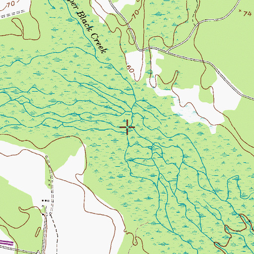 Topographic Map of Lower Black Creek, GA