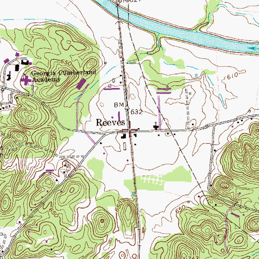 Topographic Map of Reeves, GA