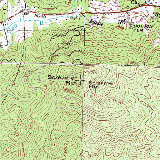 Topographic Map of Screamer Mountain, GA