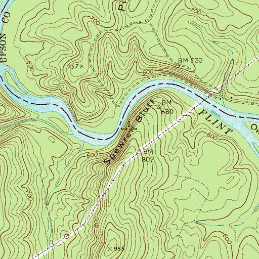 Topographic Map of Spewrell Bluff, GA