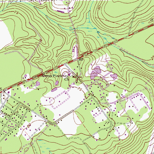 Topographic Map of Camp Pinkney (historical), GA
