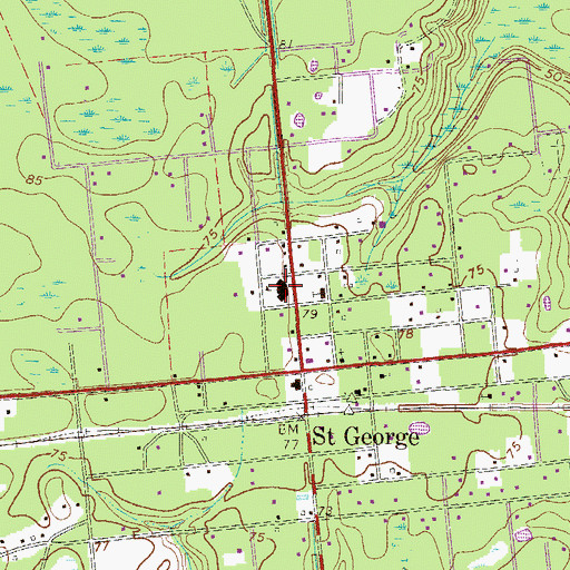 Topographic Map of Saint George Elementary School, GA